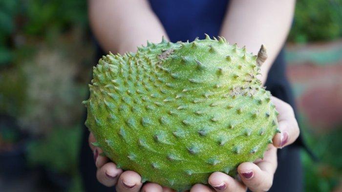 Buah sirsak bagus untuk menjaga kesehatan mata.