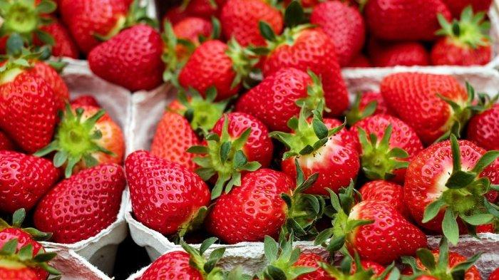 Buah stroberi memiliki banyak nutrisi yang sangat baik untuk penunjang kecantikan