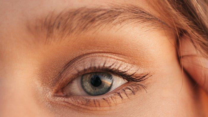 Ilustrasi warna mata terang yang memiliki cool undertone.