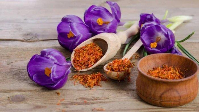 Bunga saffron punya banyak manfaat