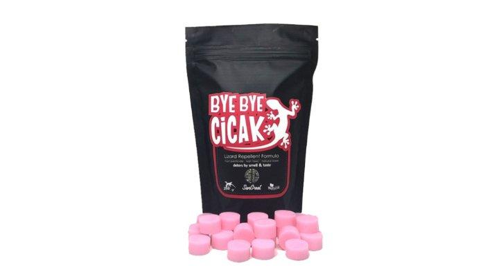 Bye Bye Cicak