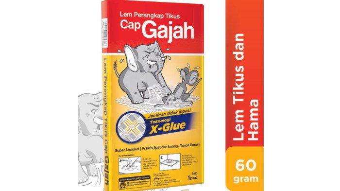 CAP GAJAH Lem Tikus Papan super lengket tanpa racun.