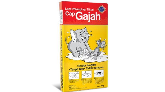 CAP GAJAH Lem Tikus Papan super lengket tanpa racun.