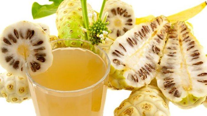Cara membuat ramuan alami dari buah mengkudu dengan benar