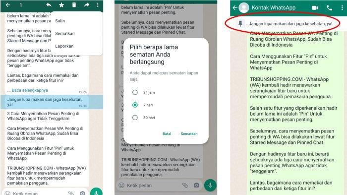 Ilustras menyematkan pesan penting di WhatsApp bisa dilakukan dengan fitur Pin atau Sematkan