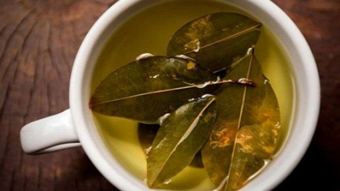 Daun salam juga mengandung Steroid yang baik untuk tubuh.