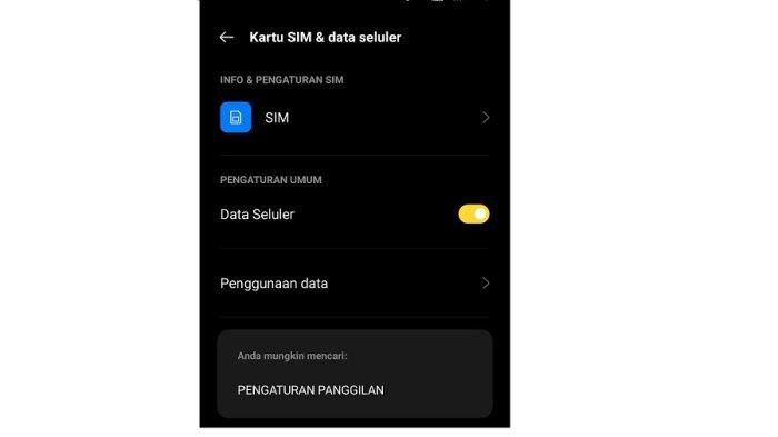 Cek Pengaturan SIM Card