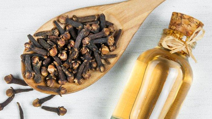 Cengkih ternyata menyimpan banyak manfaat untuk kecantikan.