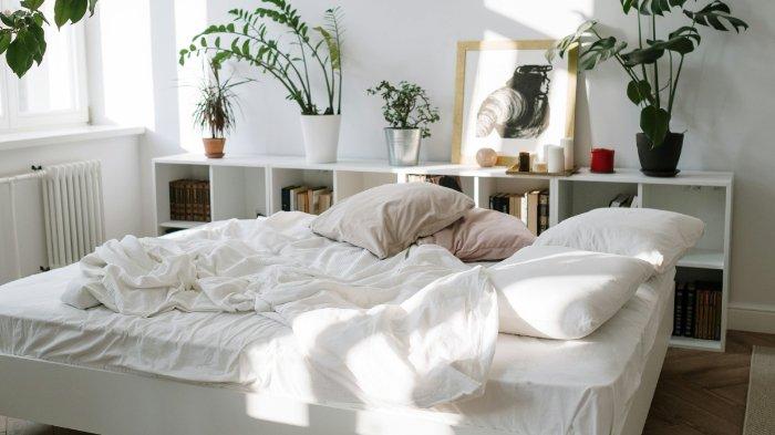 Pilihlah color palette netral yang sesuai dengan kamar tidur sempit untuk memberikan kesan luas