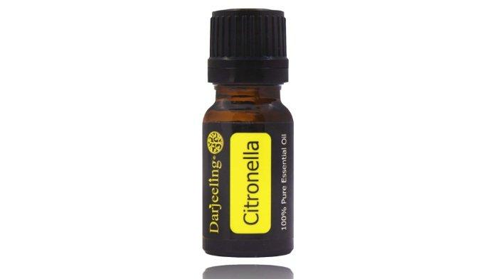 Darjeeling Citronella Essential Oil 5 dan 10 ml