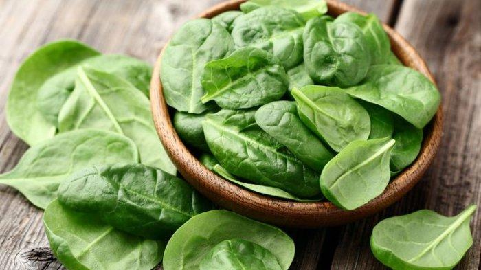 Bayam merupakan salah satu jenis makanan yang mengandung oksalat, oksalat inilah yang bisa menimbulkan gagal ginjal jika dikonsumsi secara berlebihan.