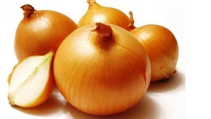 Ilustrasi bawang bombai yang punya aroma khas dan tidak disukai oleh cicak.
