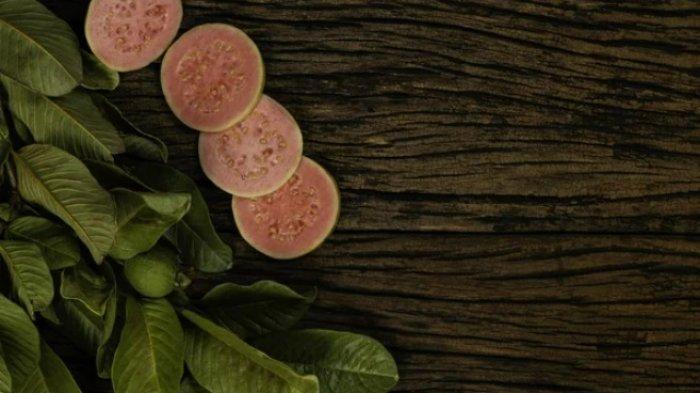 daun jambu biji punya khasiat untuk menunjang kecantikan kulit.