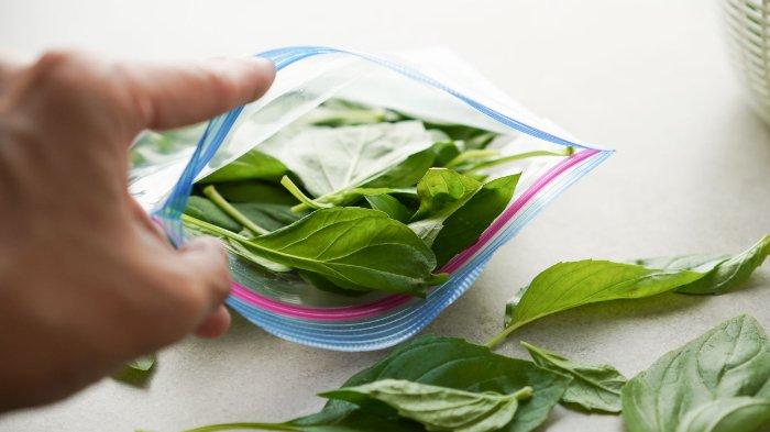 Ilustrasi daun kemangi yang dimasukkan ziplock, nantinya akan disimpan di freezer