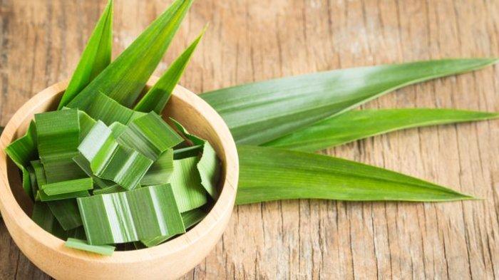 Daun pandan punya aroma khas dan segar yang bisa menjadi salah satu bahan untuk menyegarkan bau beras yang apek.