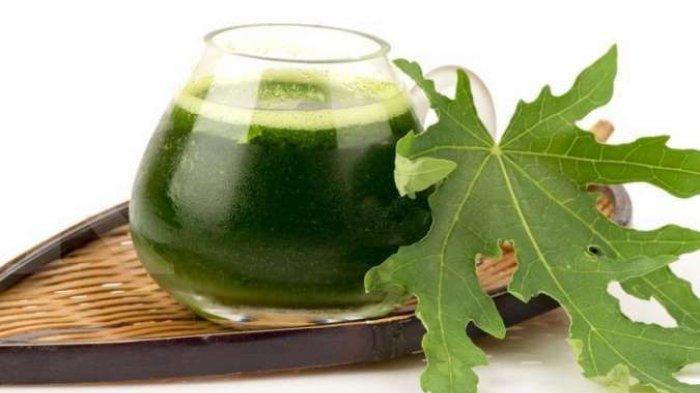 Daun pepaya bekerja sebagai sumber Nutrisi untuk Kulit Wajah.