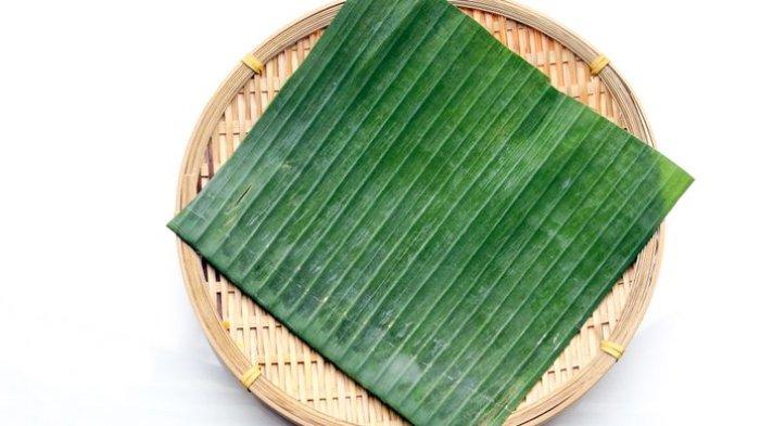 Daun pisang ternyata bisa menghilangkan gosong pada tapak setrika.