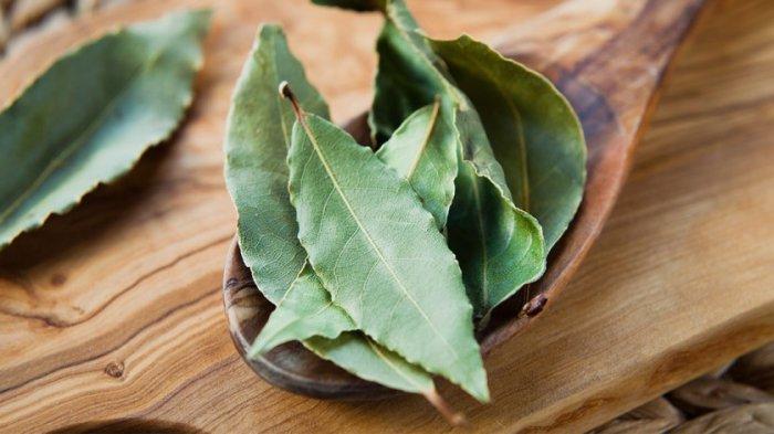 Daun salam punya banyak khasiat untuk kesehatan dan kecantikan.
