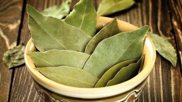 Daun salam ternyata punya manfaat untuk mengusir keberadaan kutu dan tikus.