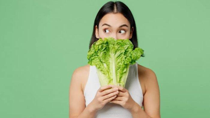Daun selada menyehatkan jika dikonsumsi secara rutin