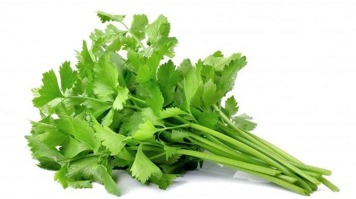 Daun seledri memiliki banyak manfaat untuk kecantikan