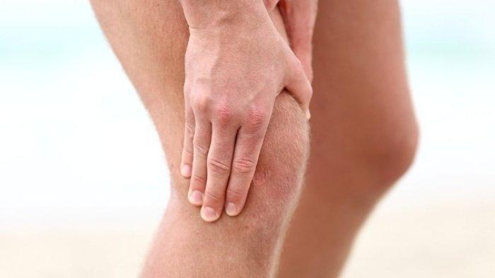 Daun sirih cina bisa membantu meredakan Nyeri