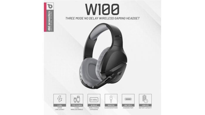dbE W100