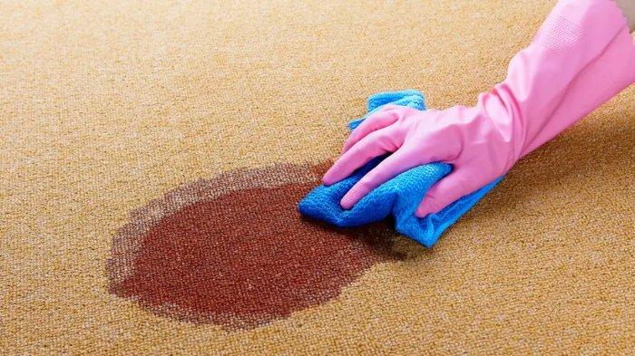 Noda pada karpet bisa dibersihkan menggunakan pasta gigi