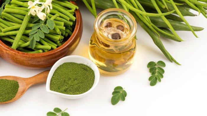 Ekstrak minyak kelor punya banyak manfaat untuk kulit