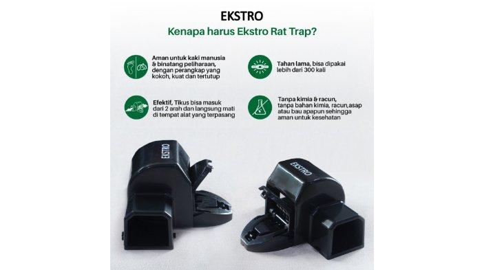 EKSTRO T313RT Rat Trap 