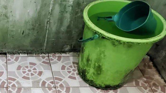 Ilustrasi lumut di kamar mandi.