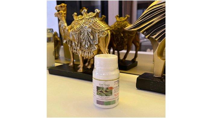 Everlean Slimming Capsule