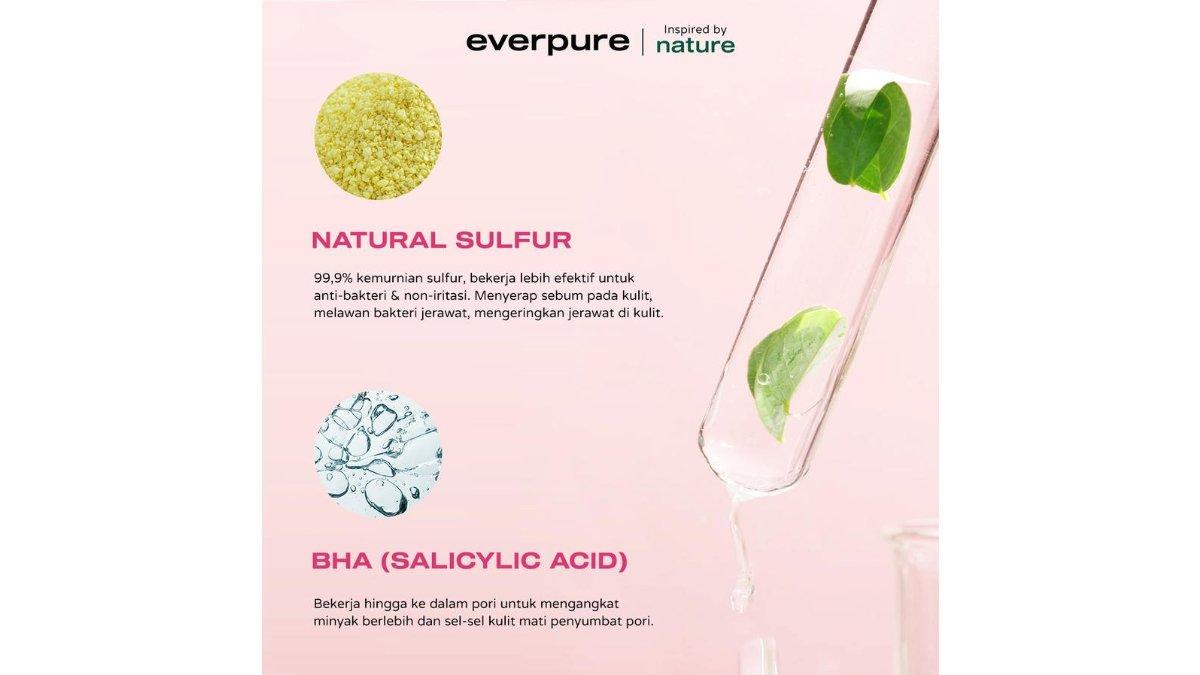 everpure Sul-Pure Acne Cream Cleanser with BHA