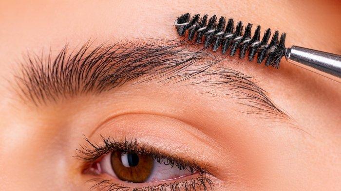 Menyisir alis sebelum menggunakan brow pomade.