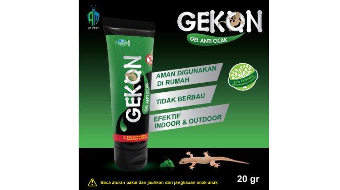 GEKON - Gel Anti Cicak