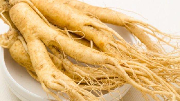 Gingseng baik untuk kesehatan dan bisa mengatasi batuk pilek.