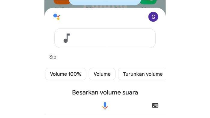 Tampilan Google Assistant untuk Volume Suara di HP
