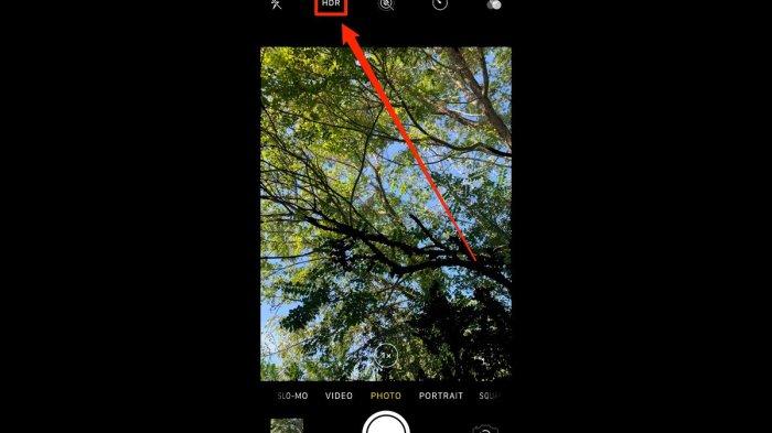 Ilustrasi menggunakan HDR
