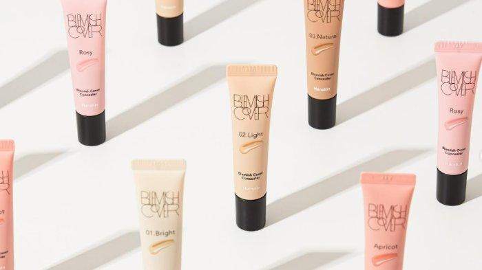 Hanskin Blemish Cover Concealer