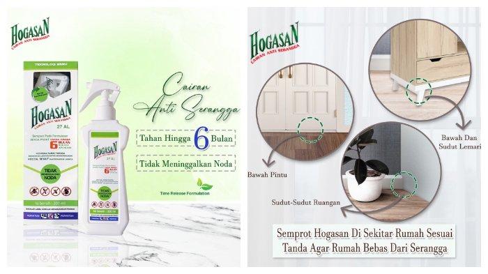 Hogasan Anti Serangga