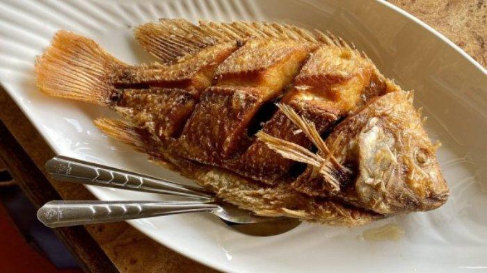 Ikan bawal dapat membantu Menurunkan Kolesterol