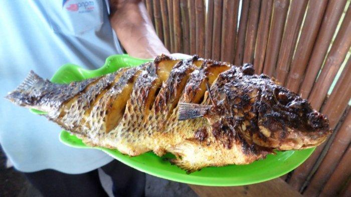 Ikan mujair dapat Menjaga Kadar Kolesterol