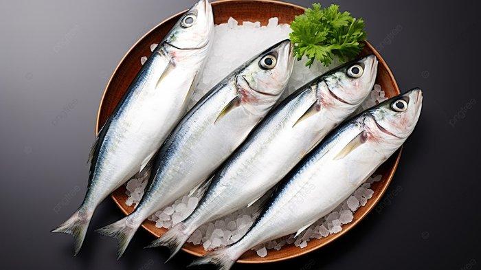 Ikan tenggiri dapat membantu memperbaiki Fungsi Kognitif