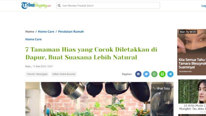 Ilustrasi salah satu artikel yang ditulis dalam portal Tribunshopping