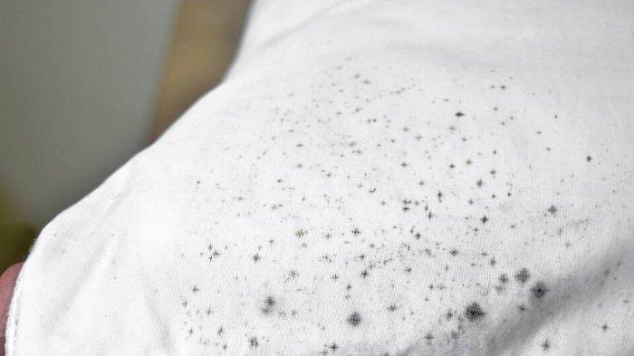 Ilustrasi baju putih yang berjamur hitam, atasi segera dengan bahan alami.