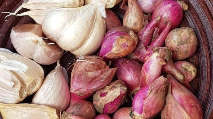 Ilustrasi bawang putih dan merah yang bisa obat alami mengatasi kutil.