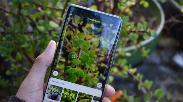 Illustration of using Google Lens on a cellphone to search for certain objects or items