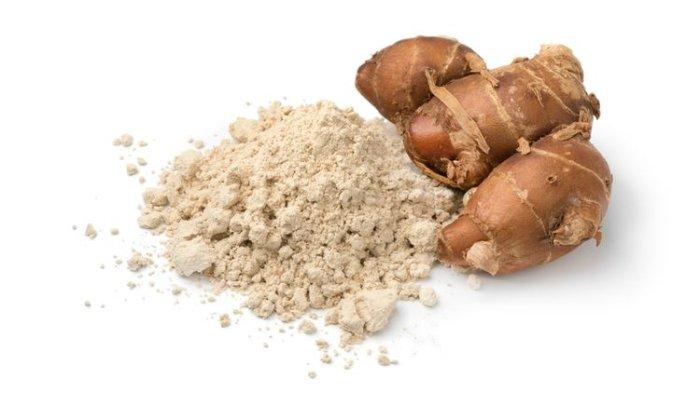 Ilustrasi kencur yang punya segudang manfaat untuk kesehatan tubuh.