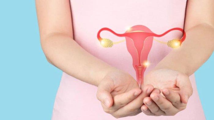 Ilustrasi area tubuh yang harus dijaga agar tidak terserang kista ovarium.