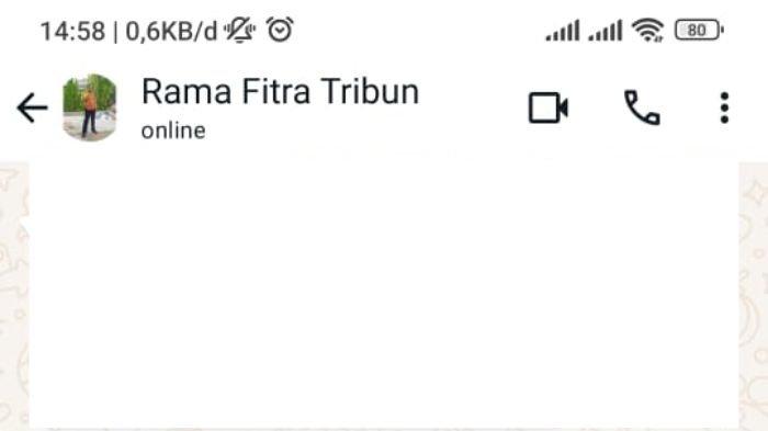 Ilustrasi kontak WhatsApp dalam keadaan online